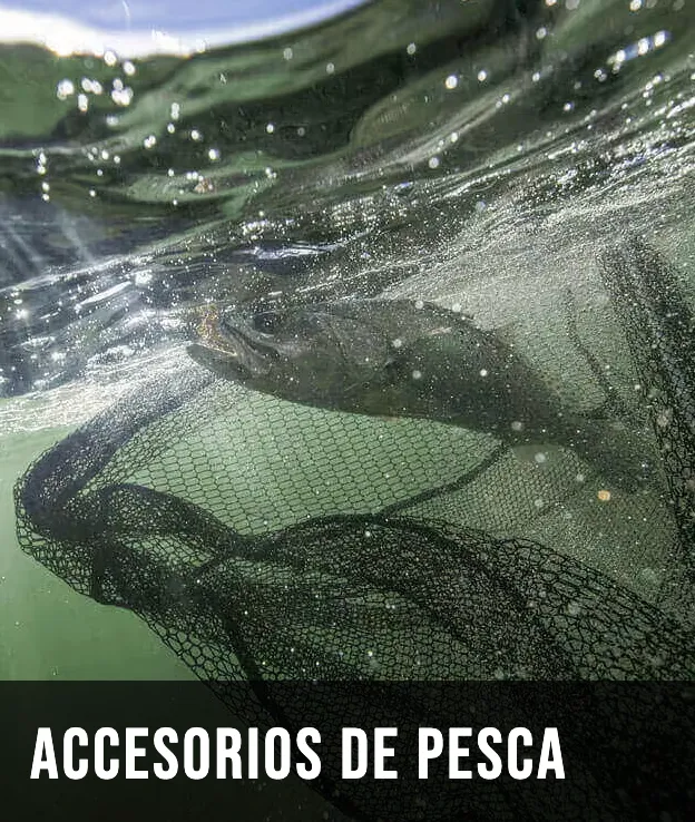 Accesorios de pesca