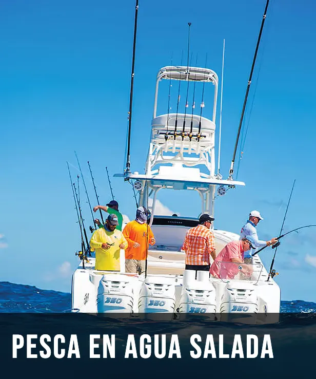 Pesca en agua salada