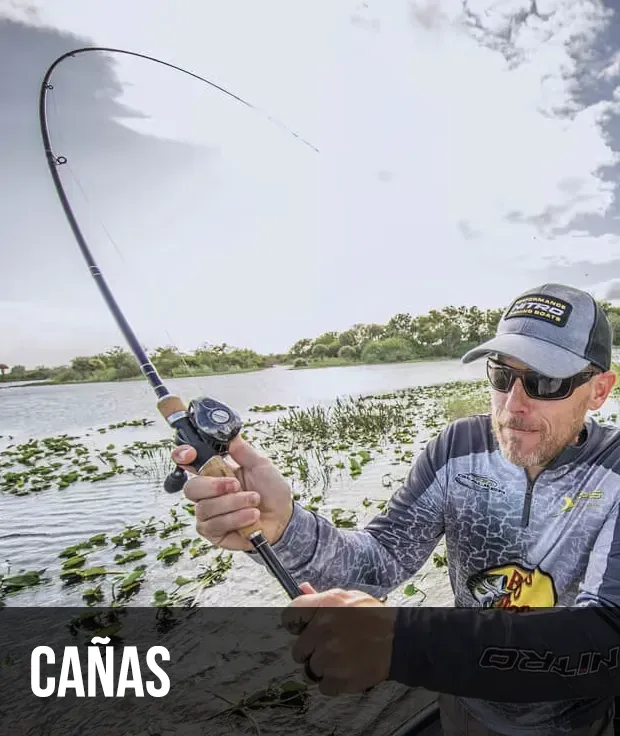 Cañas