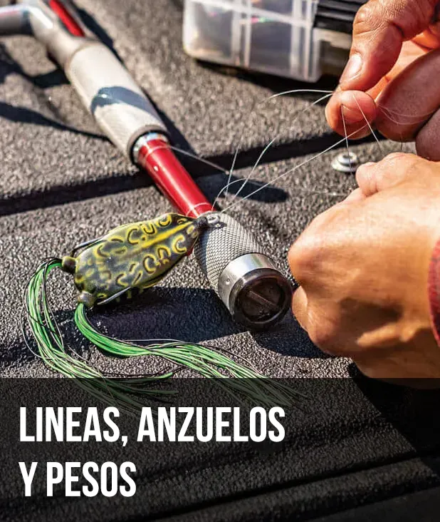 Líneas, anzuelos y pesos