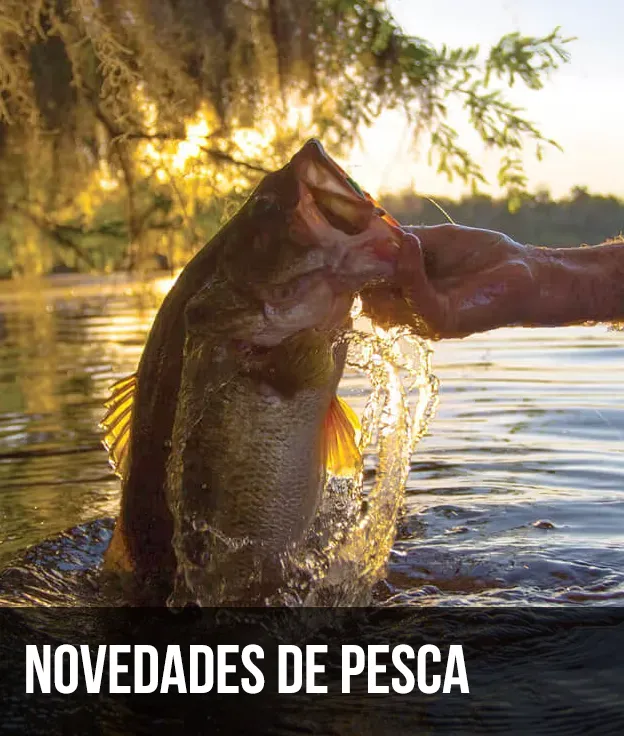 Novedades de pesca